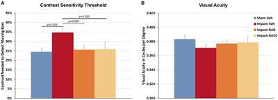 Raloxifene Modulates Microglia and Rescues Visual Deficits and Pathology After Impact Traumatic Brain Injury